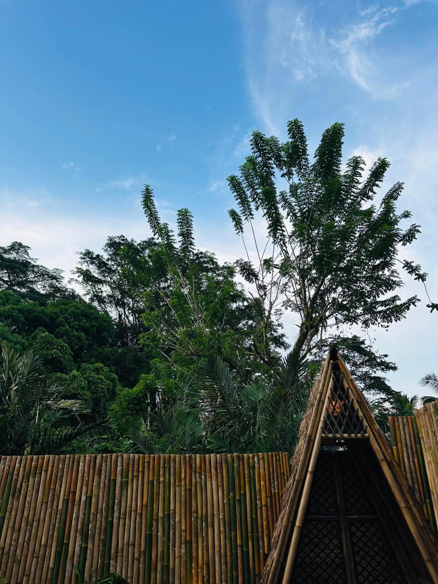 Bamboo House - Ecobreeze Villa Sidemen  Kültér fotó